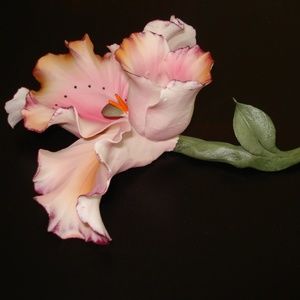 Capodimonte Pink Iris